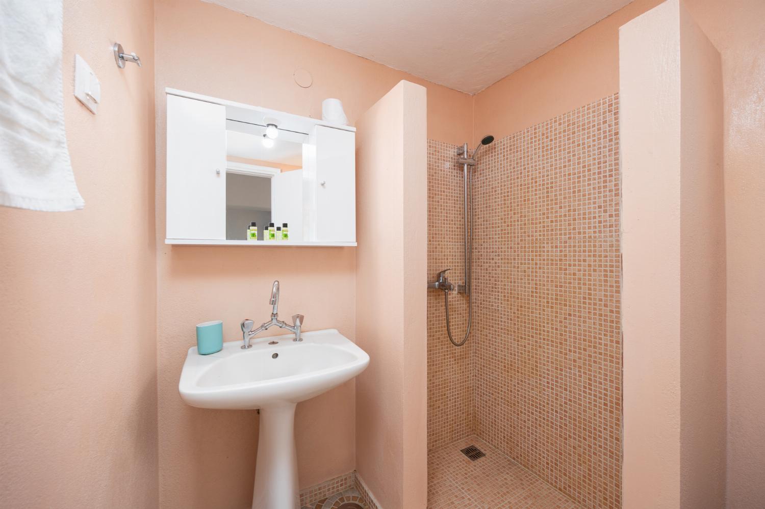Bathroom with shower