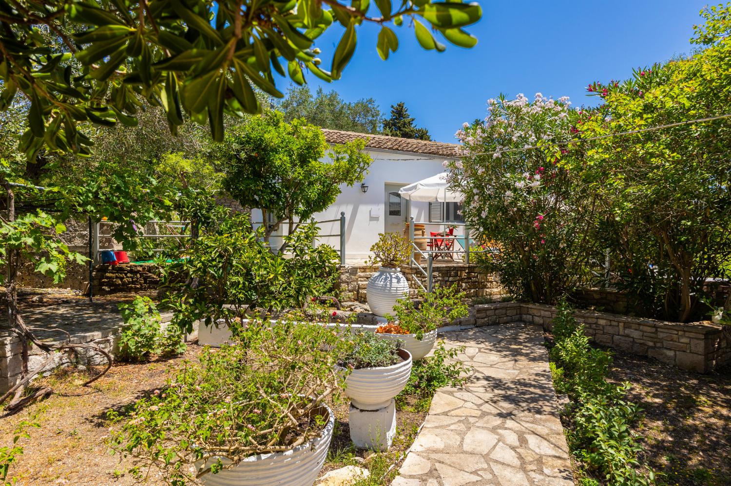 Garden area