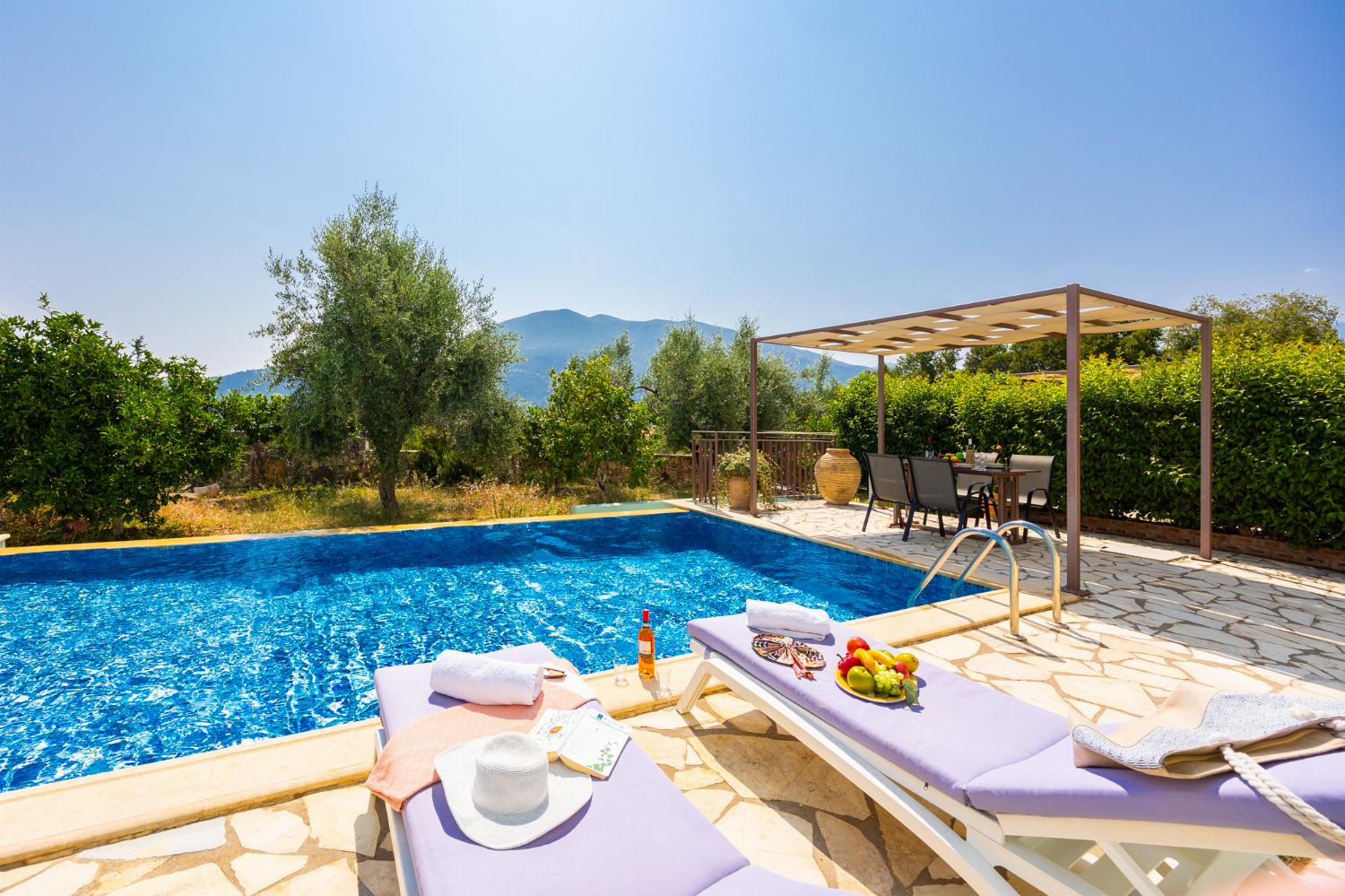 Private pool and terrace