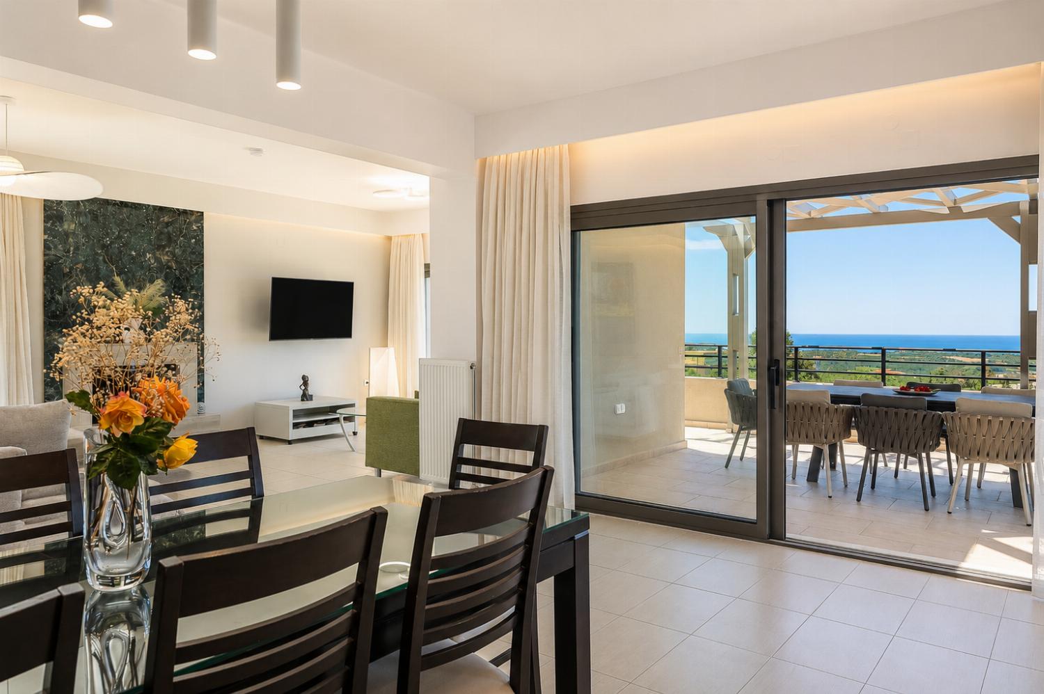 Open-plan living room with sofas, dining area, kitchen, ornamental fireplace, A/C, WiFi internet, and satellite TV