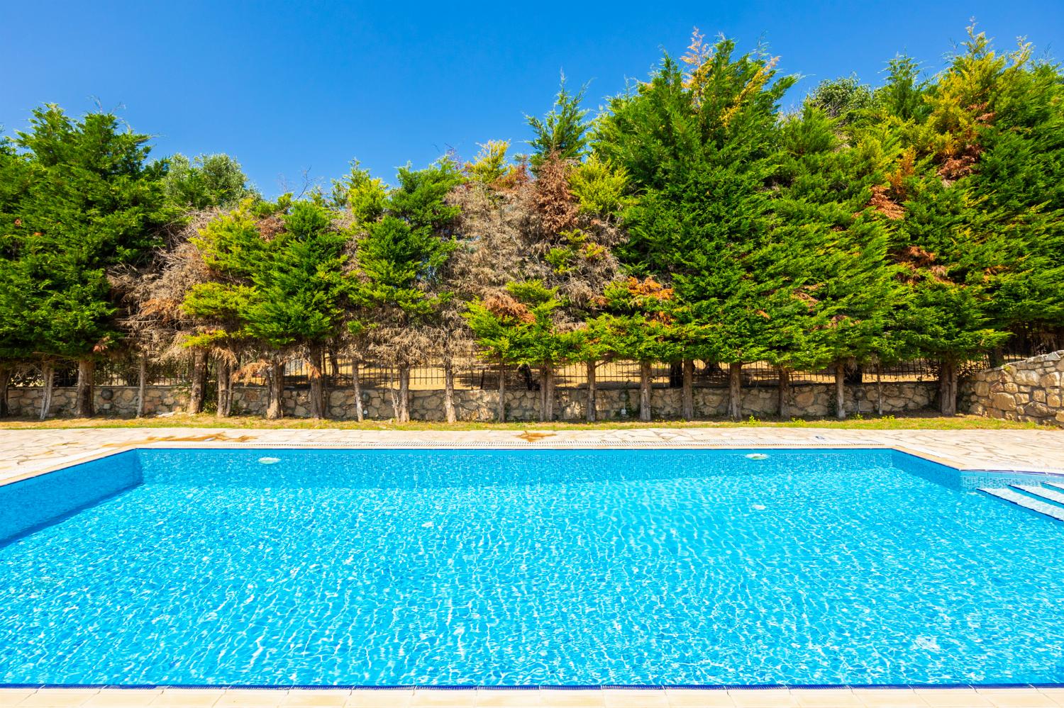 Private pool and terrace