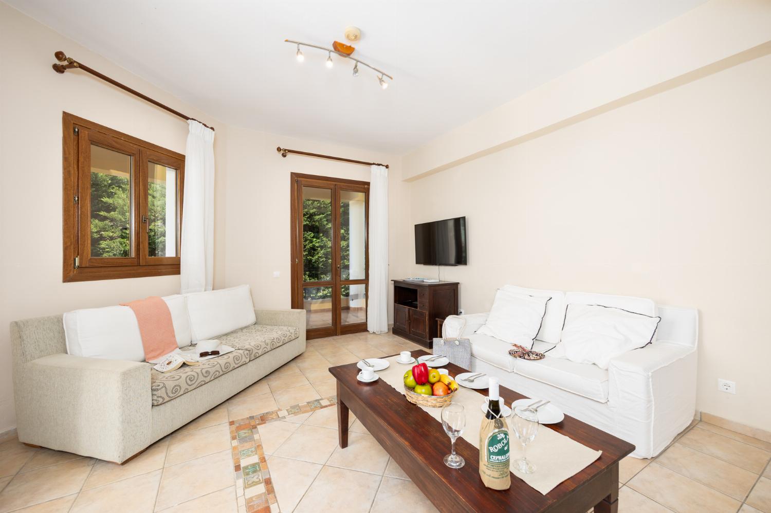 Open-plan living room with sofas, dining area, kitchen, ornamental fireplace, A/C, WiFi internet, and satellite TV