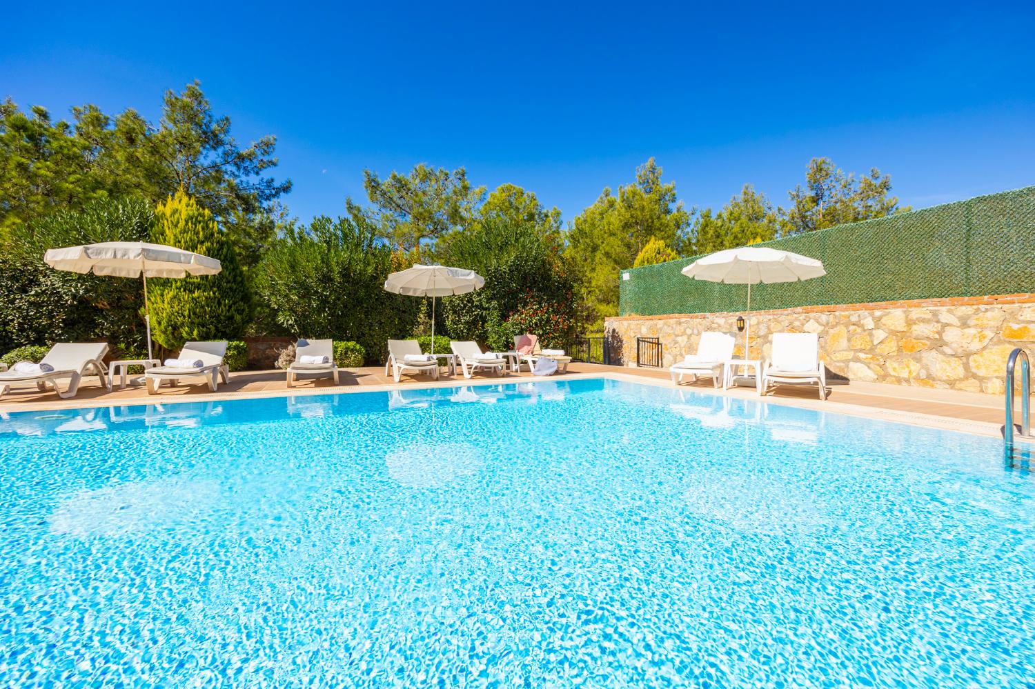 Private pool and terrace