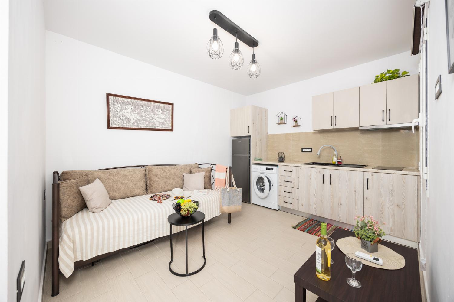 Annex: Open plan living room with sofa bed, kitchen, and A/C