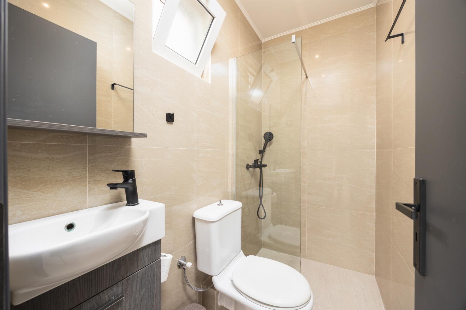 Annex: bathroom with shower