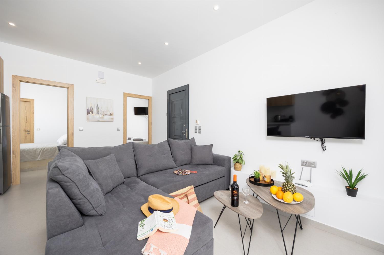 Open-plan living room with sofa, kitchen, A/C, WiFi internet, and satellite TV