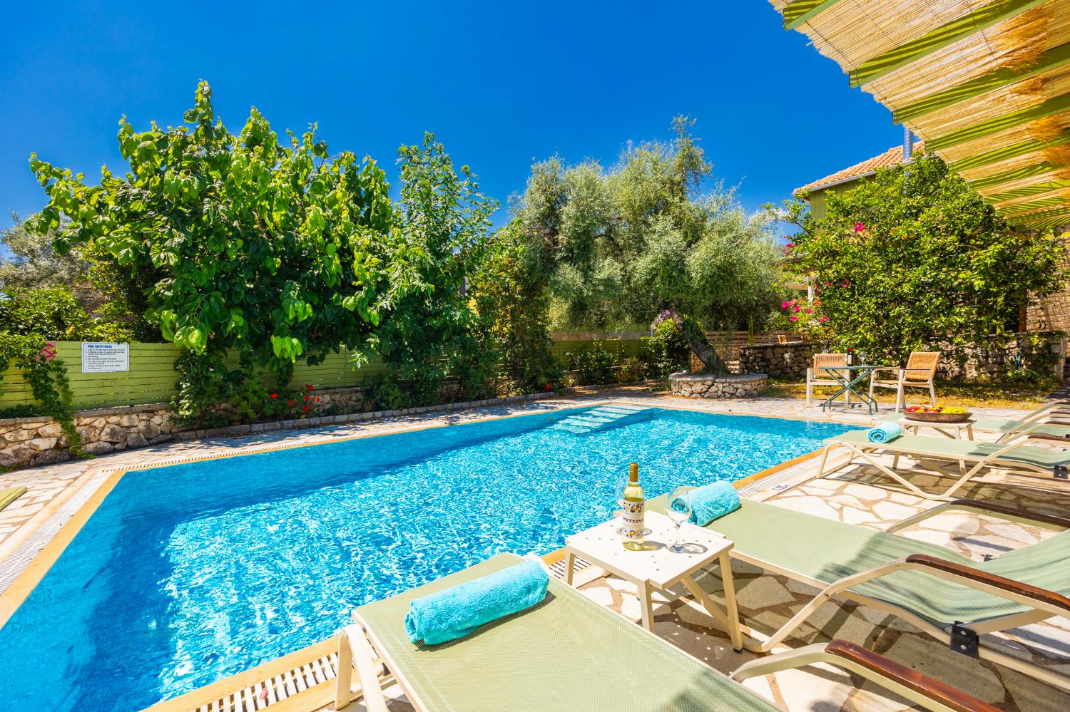 Private pool and terrace