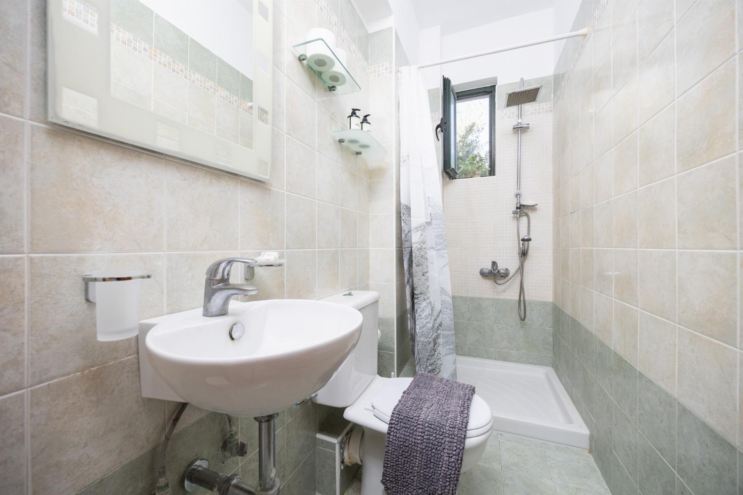 Family bathroom with shower