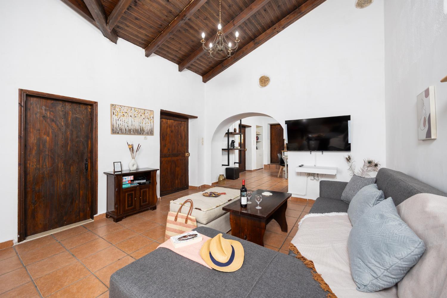 Open-plan living room with sofa, dining area, kitchen, ornamental fireplace, WiFi internet, and satellite TV