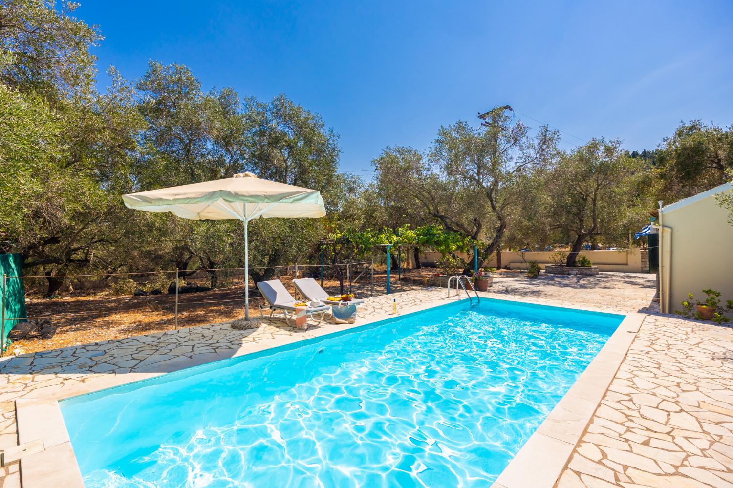 Private pool and terrace