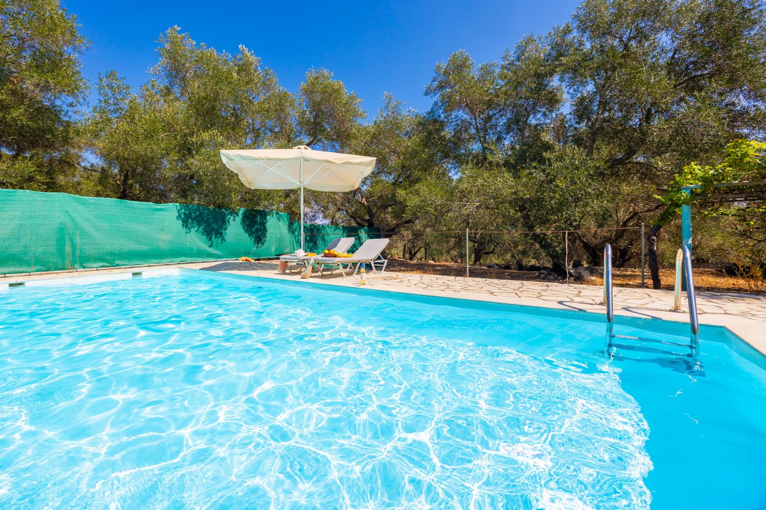 Private pool and terrace