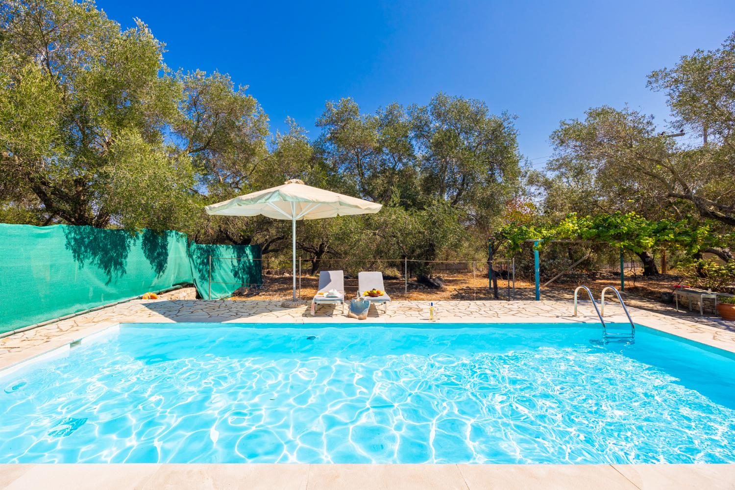 Private pool and terrace