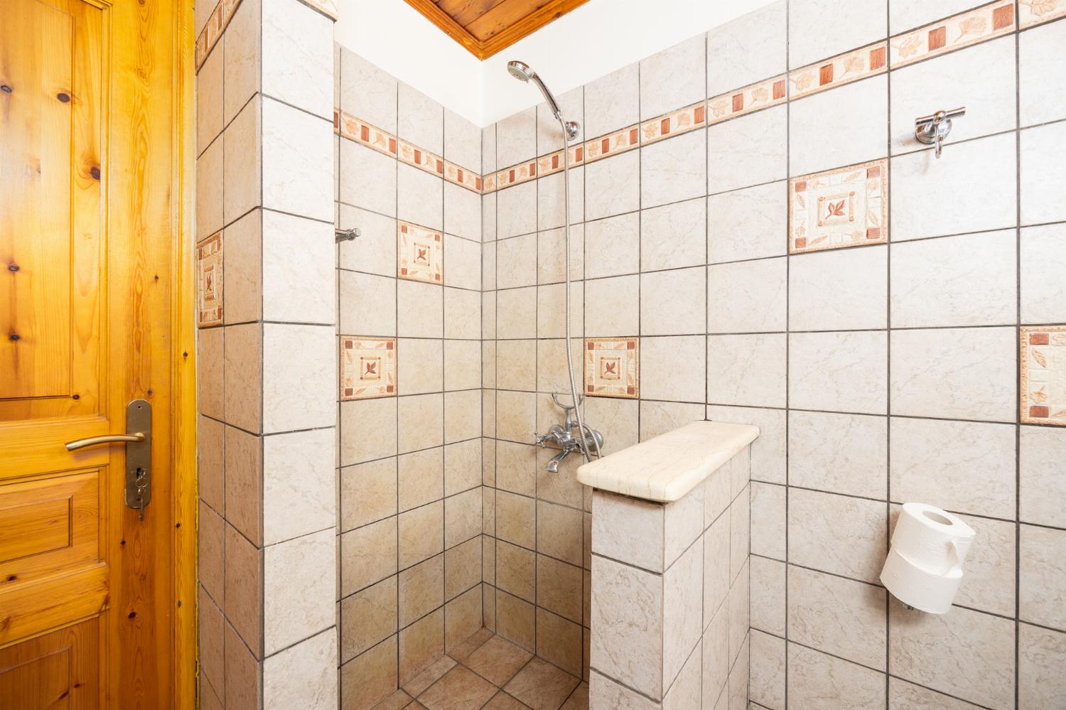 Family bathroom with shower