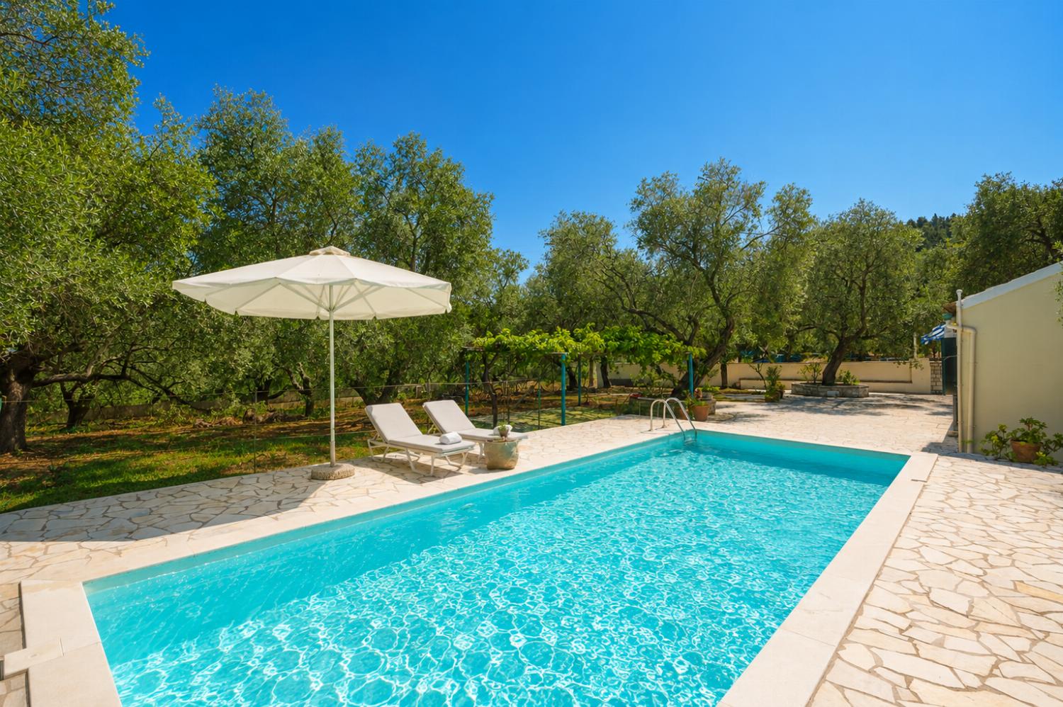 Private pool and terrace