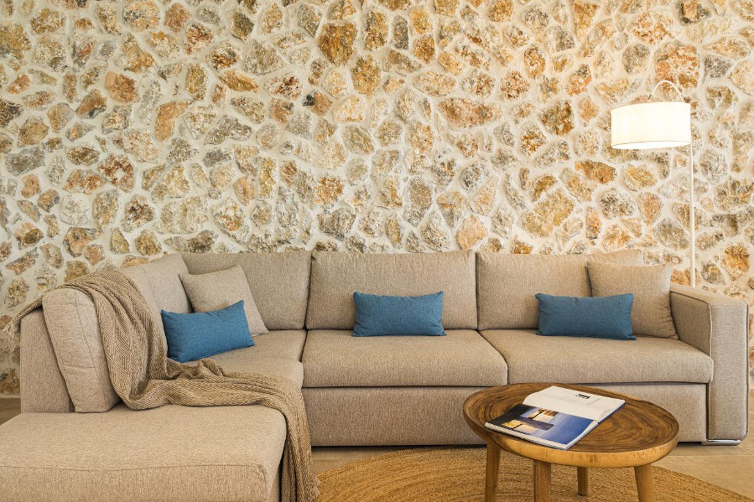 Living room with sofas