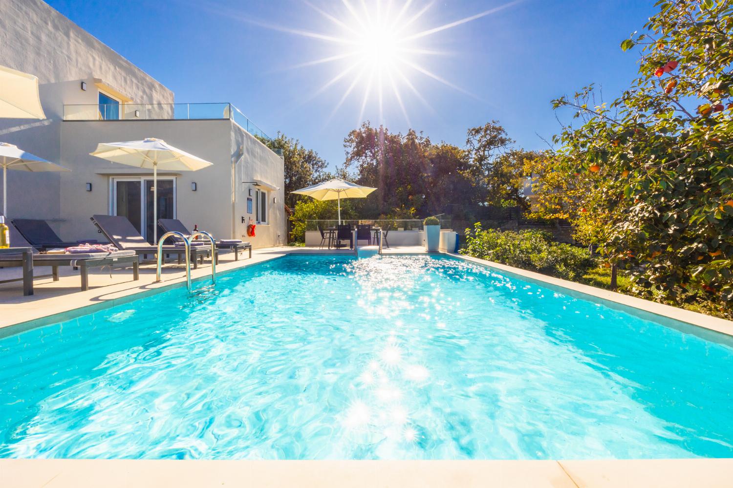 Private pool and terrace