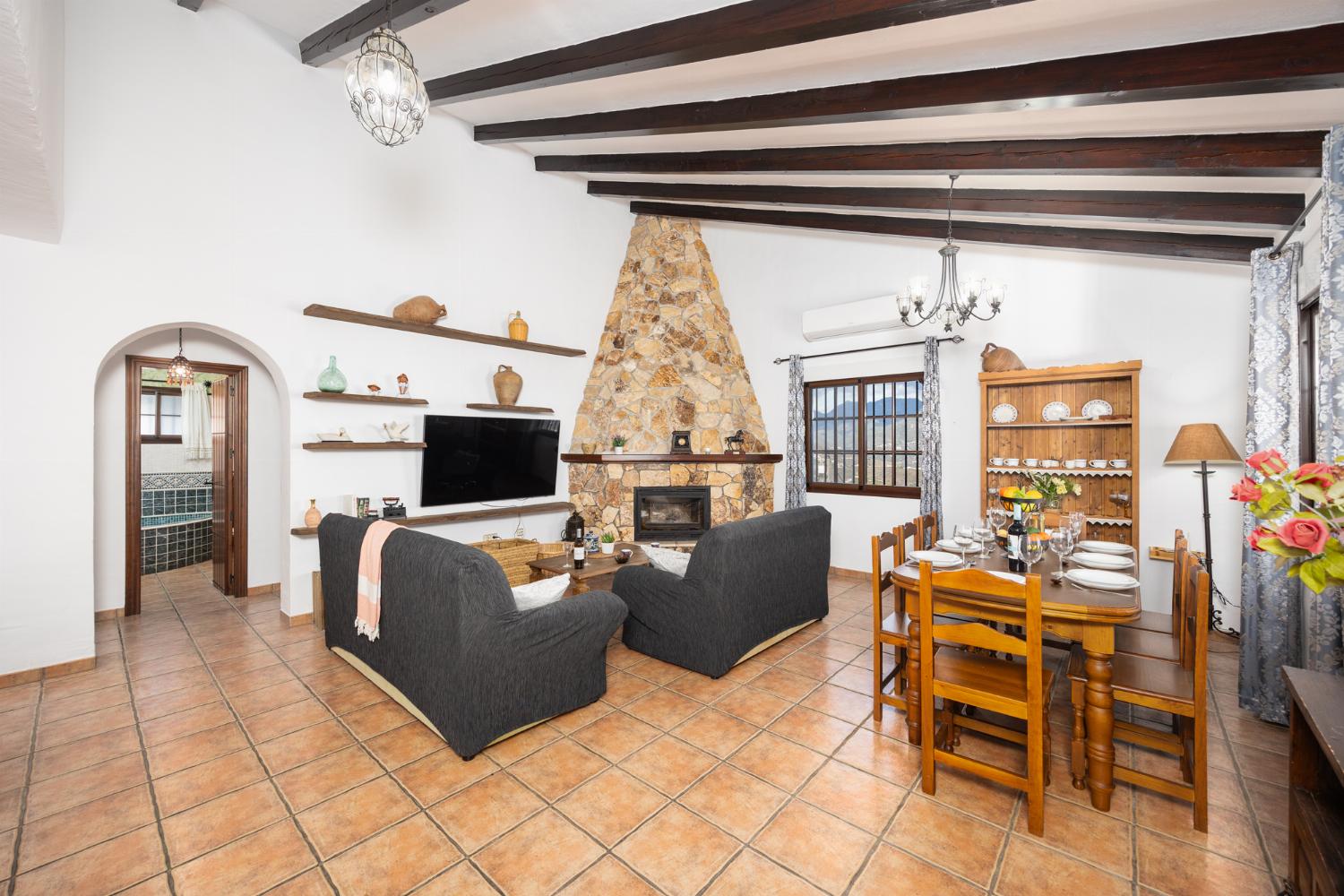 Open-plan living room with sofas, dining area, kitchen, ornamental fireplace, A/C, WiFi internet, and satellite TV