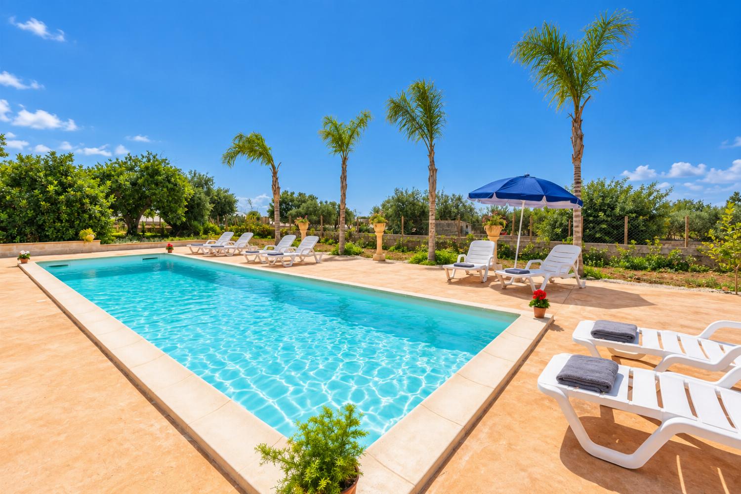 Private pool and terrace