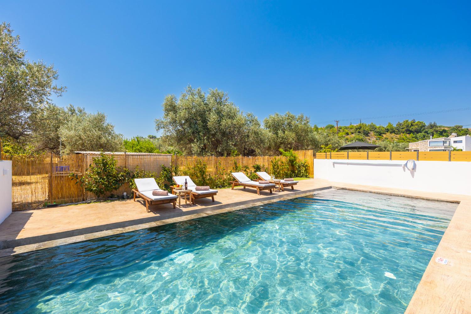 Private pool and terrace