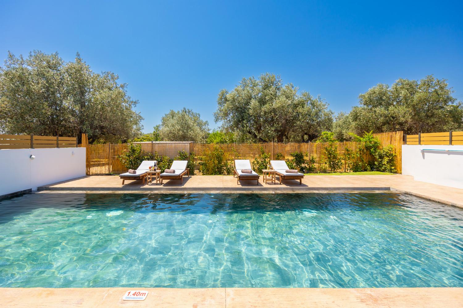 Private pool and terrace