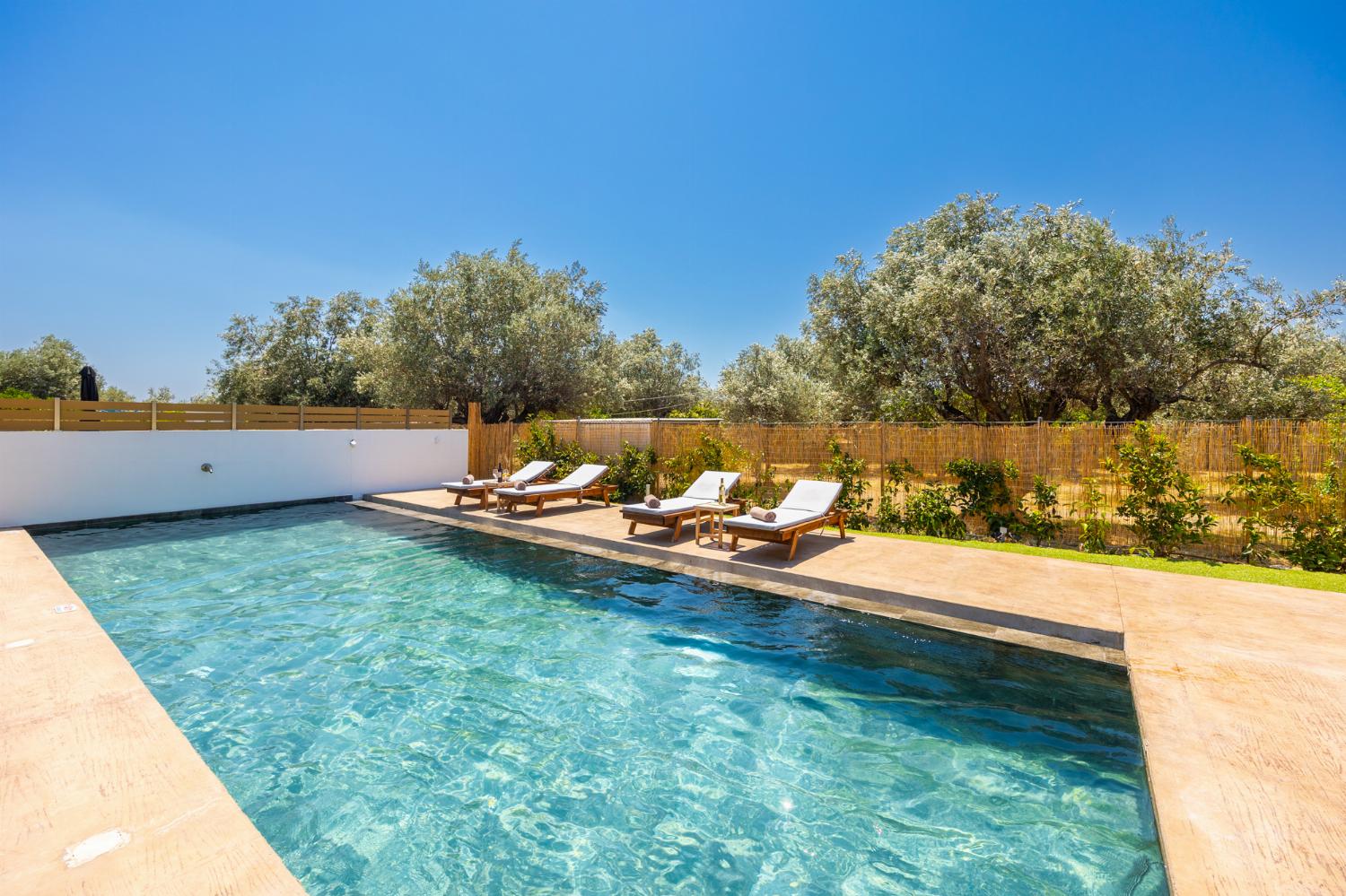 Private pool and terrace