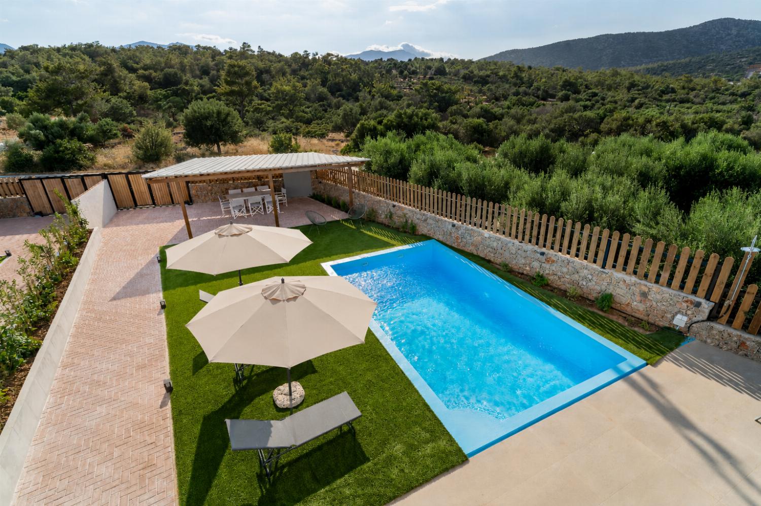 Private pool area with sun loungers, shaded umbrellas, and peaceful forest surroundings.