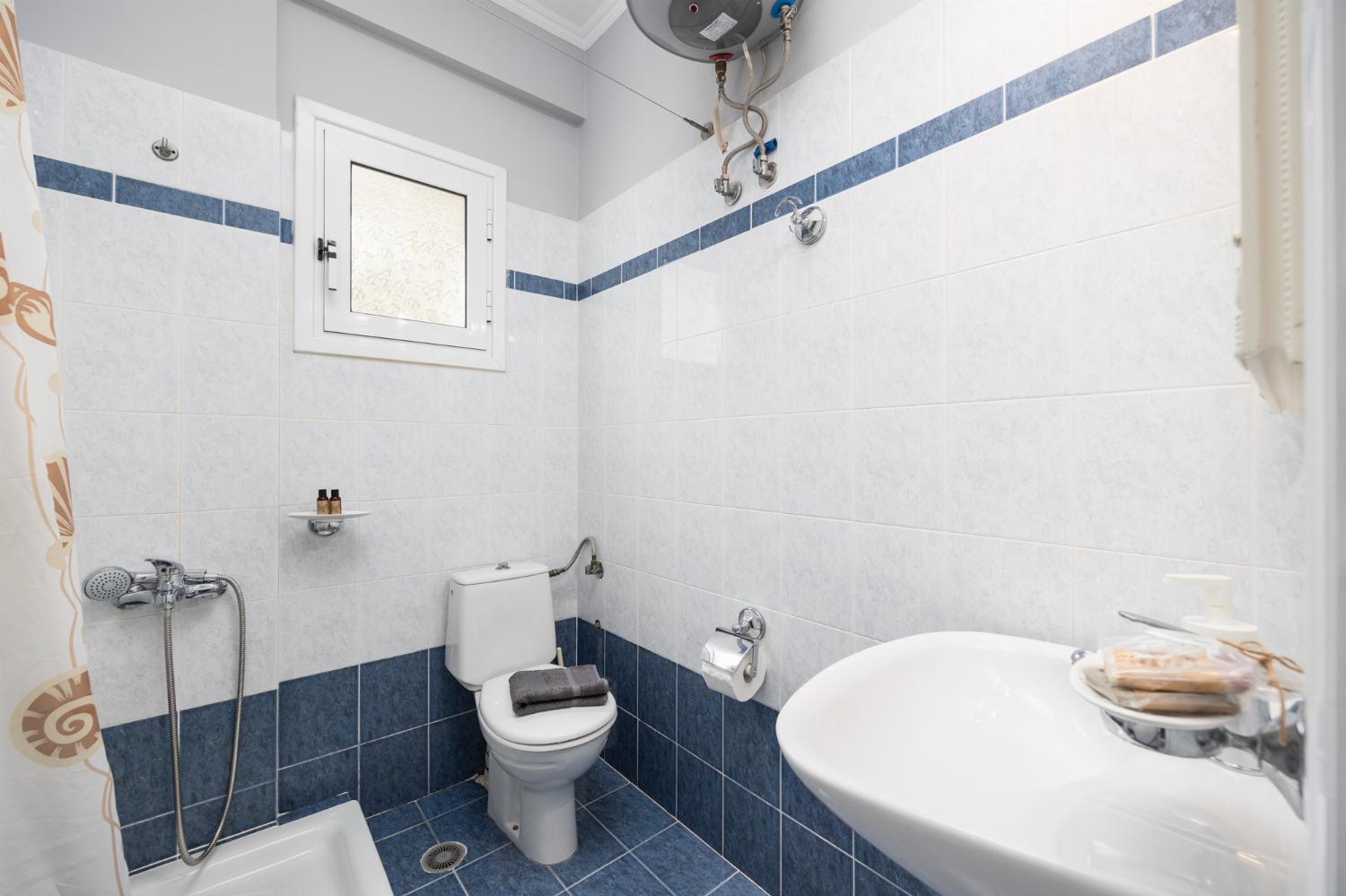 First floor: family bathroom with shower